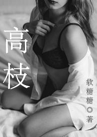 嫁高枝全文免费阅读