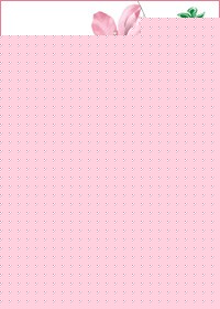 沈梅君传奇