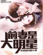 主角前妻是大明星的小说